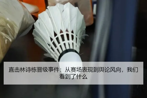 直击林诗栋晋级事件：从赛场表现到舆论风向，我们看到了什么